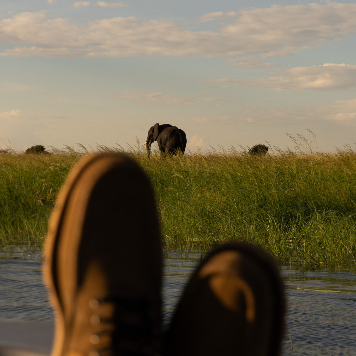 The Safari – Russell Moccasin